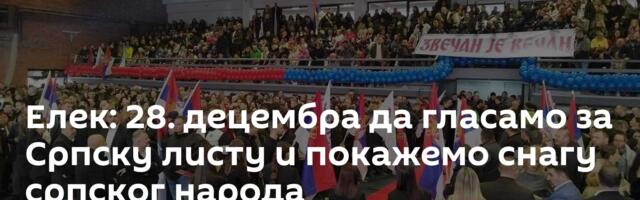 Елек: 28. децембра да гласамо за Српску листу и покажемо снагу српског народа