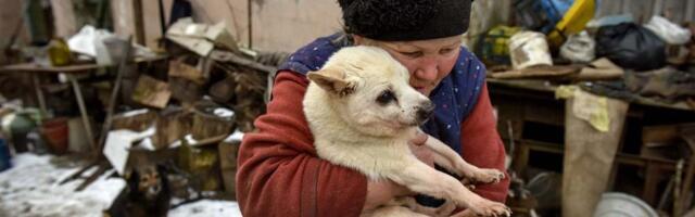 Šta Ukrajinci misle o mirovnom procesu