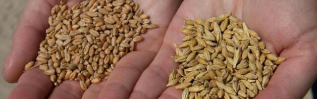 ​Промет на Продуктној берзи 1.620 тона