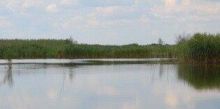 Kakva je ovo neman u jezeru Jamura: Iznenadila je i najstarije