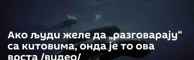 Ако људи желе да „разговарају“ са китовима, онда је то ова врста /видео/