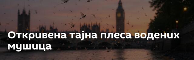 Откривена тајна плеса водених мушица