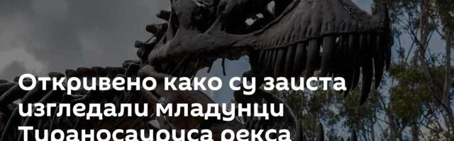 Откривено како су заиста изгледали младунци Тираносауруса рекса