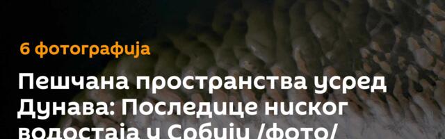 Пешчана пространства усред Дунава: Последице ниског водостаја у Србији /фото/