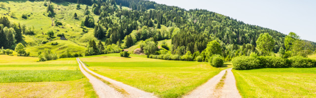 Koliko je Srbija zalutala na evropskom putu tokom 2020. godine?