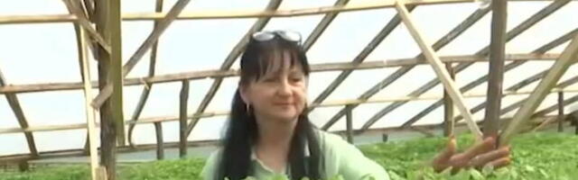 Humana Čačanka poklanja rasad porodicama kojima je nevreme uništilo bašte