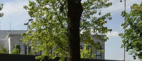 OGLASILA SE AMERIČKA AMBASADA U SRBIJI: Najnovija informacija zbog aktuelne situacije u zemlji!