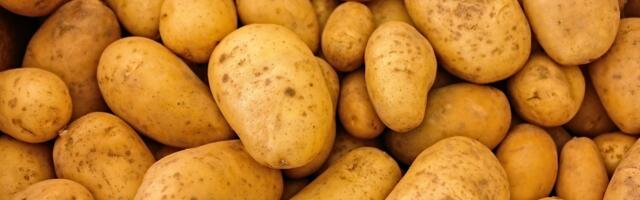 Domaćin u šoku zbog nečuvene krađe krompira: Sve je počelo lažnom objavom na društvenim mrežama