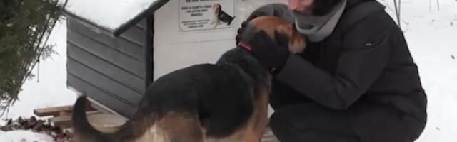 Srećna priča psa Srećka: "Što je do nas pružićemo sve da njemu bude lepo, ako je njemu lepo, lepo je i nama"