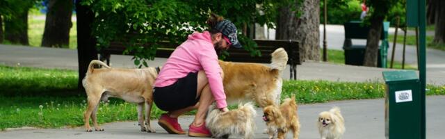 U Srbiji postoji 5 "opasnih" rasa pasa, komunalci krenuli u kontrole: Ako je vaš na spisku, ovo NE SMETE!