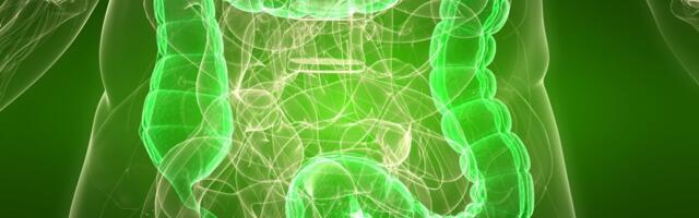 Posle 50. creva više ne praštaju greške: Ovih 5 navika ih čisti i vraća u normalu