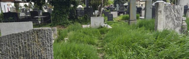 SRAMOTA: Deo Varoškog groblja juče kao nepokošena livada, a JKP Šumadija se pohvalilo sređivanjem uoči Pobusanog ponedeljka (FOTO)