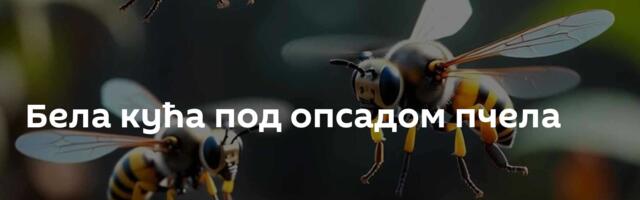 Бела кућа под опсадом пчела