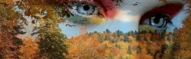 HOROSKOP ZA SREDU, 10. NOVEMBAR: Ovan i Rak će imati probleme na poslu, Vage tenzije i svađe, a Jarac ozbiljne tegobe