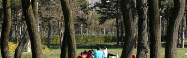 Стабилно време у марту: сунчани дани са хладним јутрима и слабим мразом