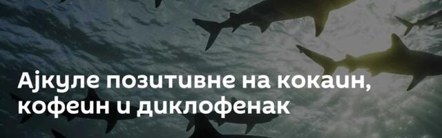 Ајкуле позитивне на кокаин, кофеин и диклофенак