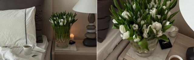 Da li su mikro-meditacije odgovor na stres koji smo godinama tražili?