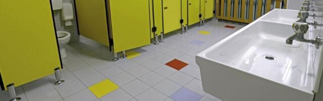 Osmakinja pretrpela seksualno zlostavljanje u školskom toaletu: Učenice sve snimale