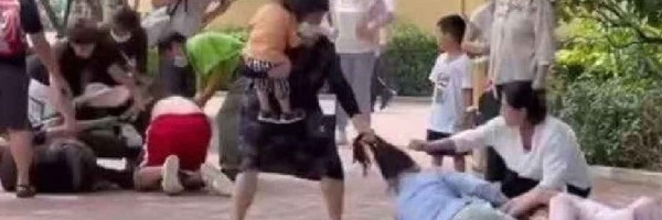 Životinje se zakrvile nakon opšte tuče ljudi u zoološkom vrtu