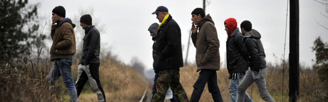 Samo na severu Srbije aktivno nekoliko stotina krijumčara