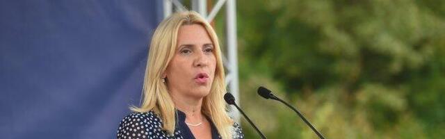 Cvijanović: Dejtonski sporazum ruši Šmit, a ne Republika Srpska (VIDEO)