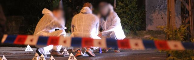 EVO KAKO SU SE BRANILE UBICE IZ POŽAREVCA PRED TUŽIOCEM Ubili cimera sekirom, pa telo ostavili u sobi