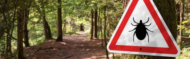 3 godine imao zujanje u ušima, lekari bili nemoćni: Veštačka inteligencija mu spasla život!