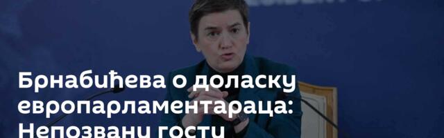 Брнабићева о доласку европарламентараца: Непозвани гости
