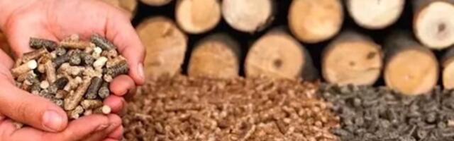 Zašto dolazi do nestašice peleta u Srbiji?