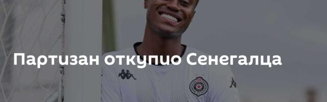 Партизан откупио Сенегалца