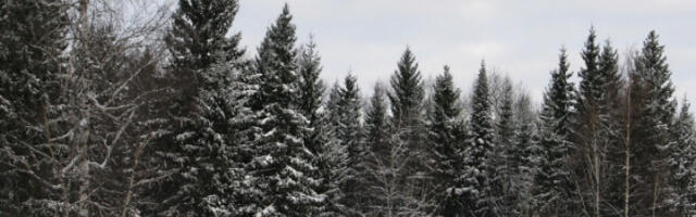 Јачи снег у брдско-планинским пределима