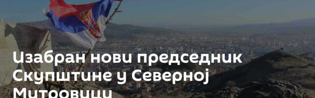 Изабран нови председник Скупштине у Северној Митровици