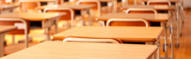 Пролећни распуст за ученике у Војводини почиње у петак