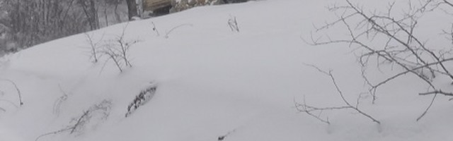 Kuvarica u bolnici čula neobične zvukove: Izašla je napolje i ugledala ŠOK PRIZOR NA -54 STEPENA