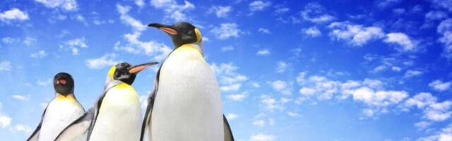 Azure Linux 3 postaje dostupna – ali ne očekujte dodatke