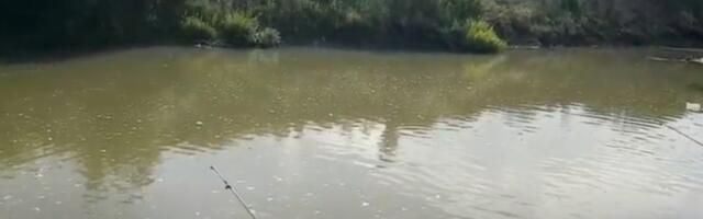 „Marš sa Drine“: Najava obustave projekta Jadar služi samo da se smiri situacija