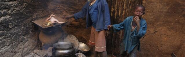 UN: Akutna glad u svetu dostigla najkritičniji nivo u poslednjih nekoliko godina