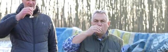 Video koji šokira ceo svet - Orban živi "srpski san", u Evropskoj uniji je i može da kolje svinju  u svom dvorištu