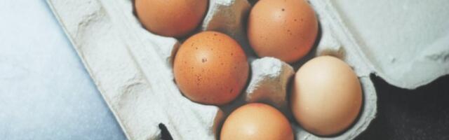 DA LI JE JAJE OTROVNO? Jedan detalja otkriva,  obratite pažnju,  može da bude opasno po život