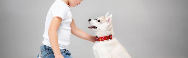 Otvoreno PISMO vlasnice psa roditeljima: "Volim vašu decu, ali zapamtite: ne želim da maze mog ljubimca!"