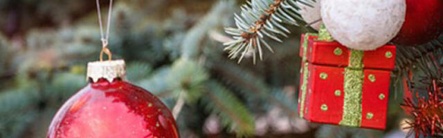 СПЦ данас обележава Туциндан