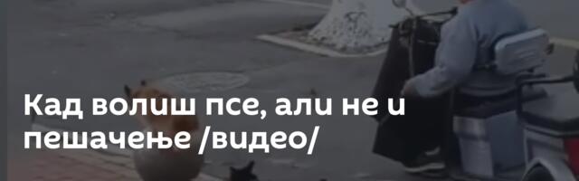 Кад волиш псе, али не и пешачење /видео/