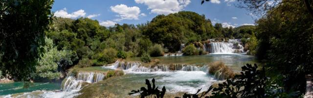 U Nacionalnom parku Krka otkriveno retko i misteriozno stvorenje: Privukla ga je svetlosna zamka