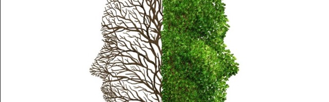 10 odgovora otkrivaju DOMINANTNIJU stranu mozga