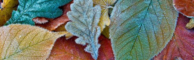 Šta novembar donosi svakom horoskopskom znaku