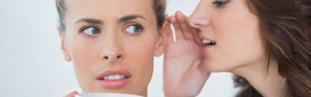 S Blizancima, Strelcem, Vagom i Lavom nijedna tajna nije sigurno, a tračanje im je omiljeni hobi