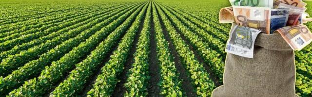 Ova voćka raste kao "luda" u Srbiji: Donosi debelu zaradu, a potrebno je samo jedno