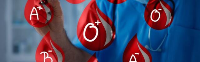 FIizoterapija: Idealan čaj za vašu krvnu grupu - od aloje do šipurka