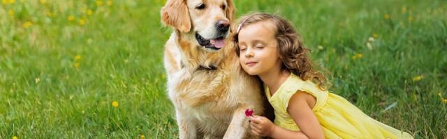 Ove rase pasa obožavaju decu: S razlogom ih zovu „dadiljama“