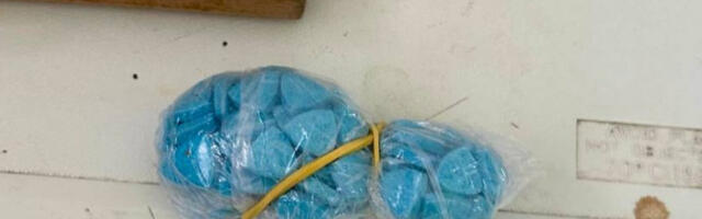 Нишка полиција ухапсила двојицу мушкараца и пронашла већу количину наркотика
